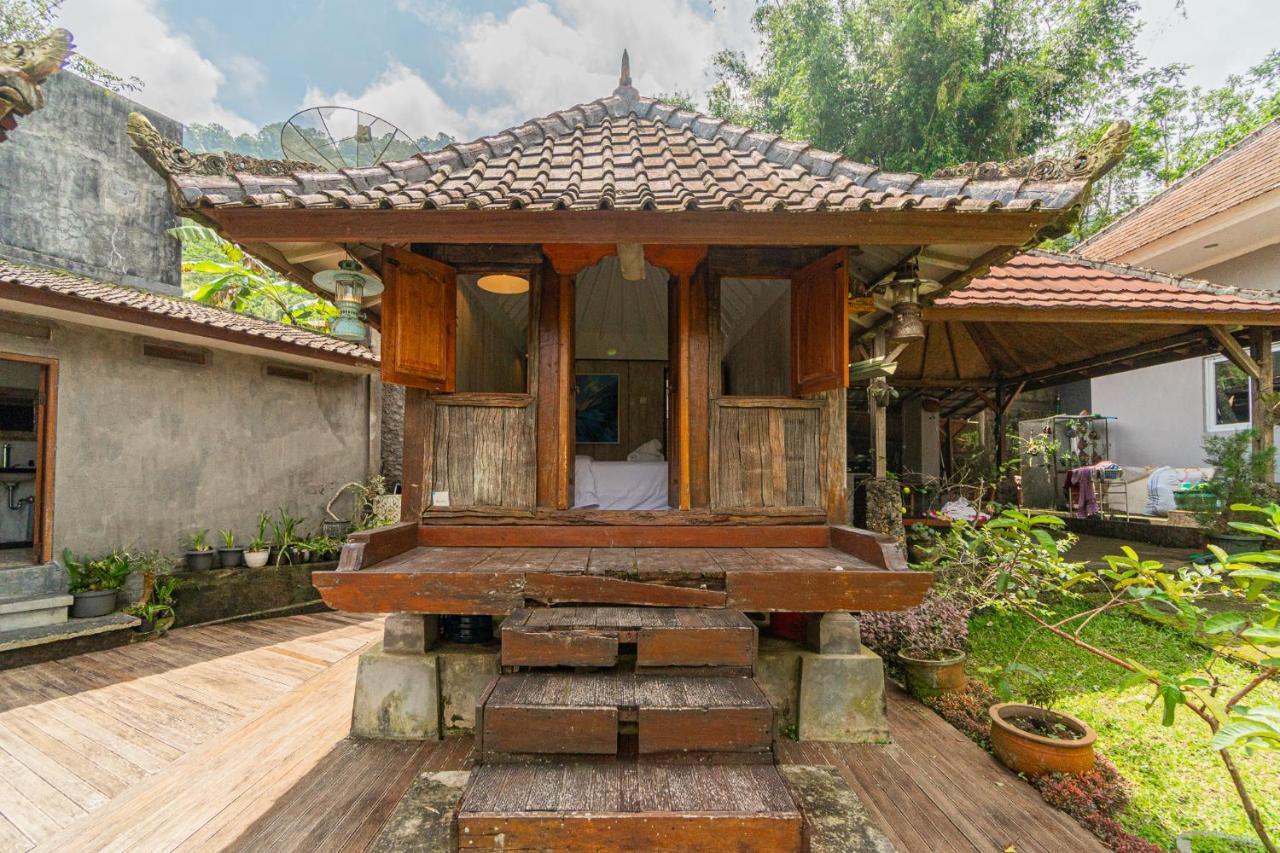 브두굴 Four Monkeys House 빌라 외부 사진